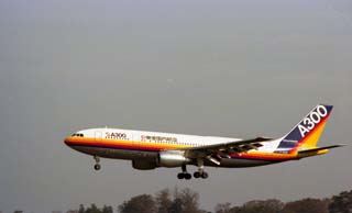 Ａ３００