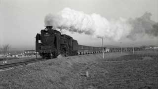 Ｄ５１