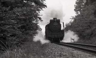 Ｄ５１