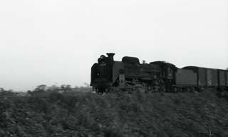 Ｄ５１