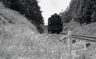 Ｄ５１