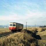 １９８０年１月６日桃浦付近
