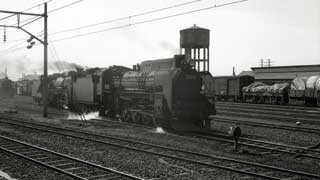 Ｄ５１