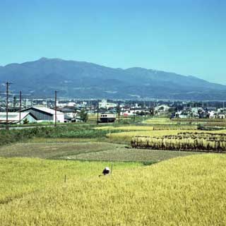 電車