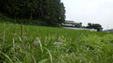 VPQ̐